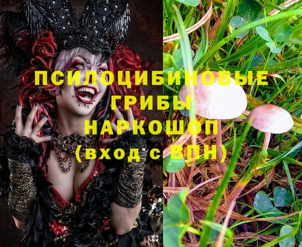 стаф Абдулино