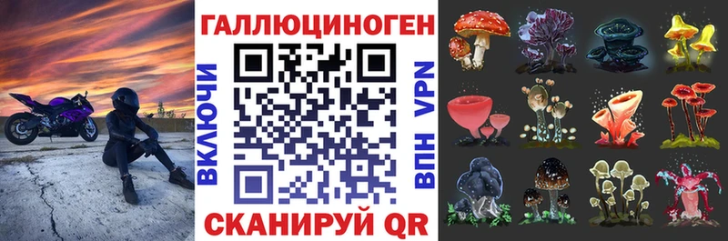 что такое   KRAKEN ТОР  Псилоцибиновые грибы мицелий  Кировград 